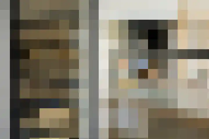 Antiloopstraat 69 Breda thumbnail 44