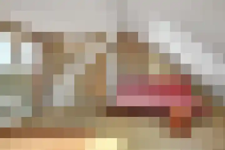 Antiloopstraat 69 Breda thumbnail 70