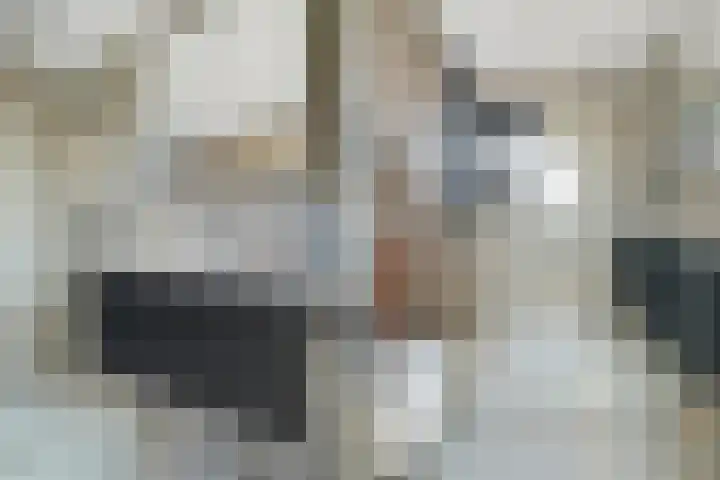 Antiloopstraat 69 Breda thumbnail 74