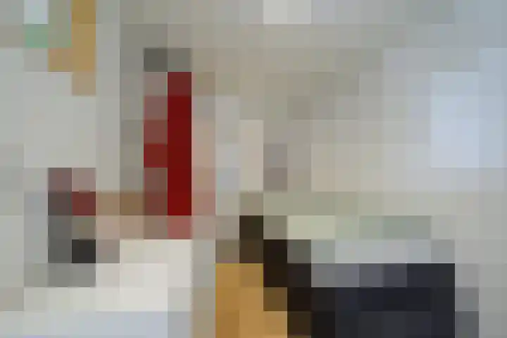 Antiloopstraat 69 Breda thumbnail 80