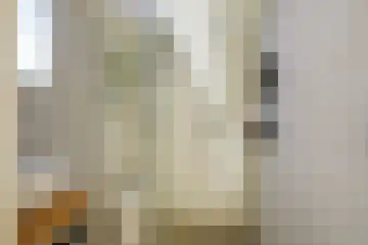 Antiloopstraat 69 Breda thumbnail 84