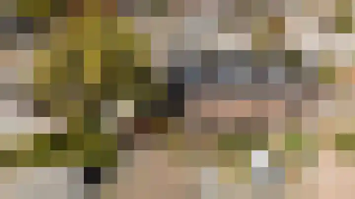 Antiloopstraat 69 Breda thumbnail 90