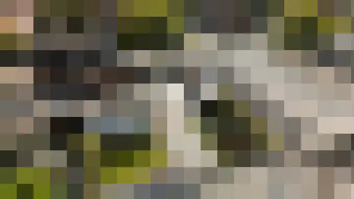 Antiloopstraat 69 Breda thumbnail 96