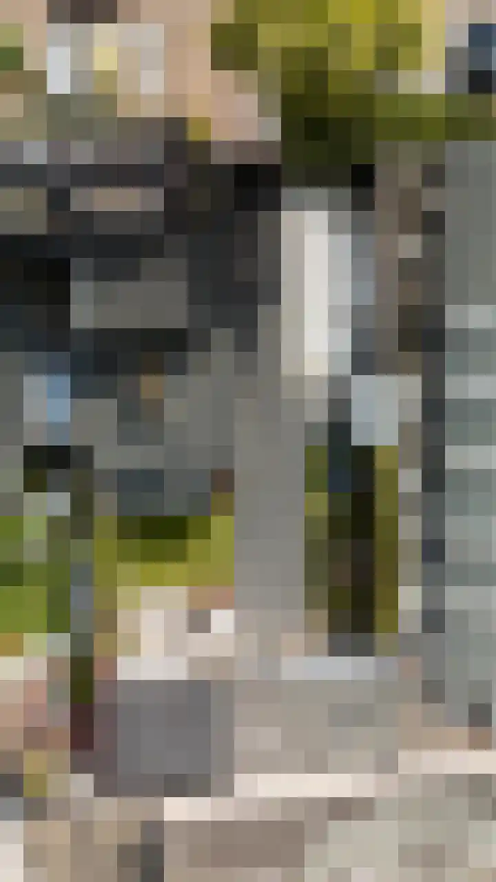 Antiloopstraat 69 Breda thumbnail 98