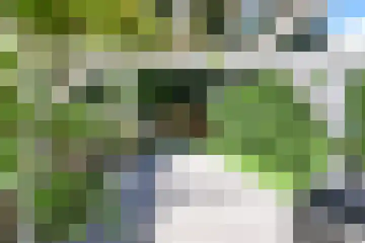 Antilope 37 Huizen thumbnail 19