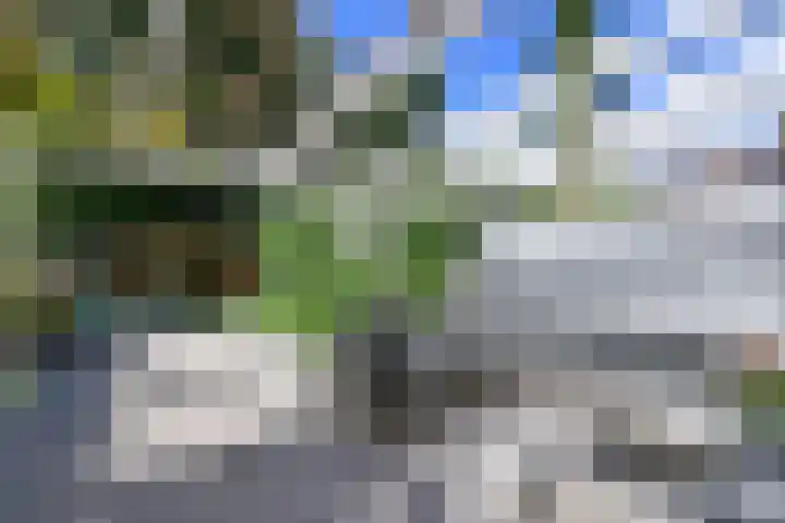 Antilope 37 Huizen thumbnail 20