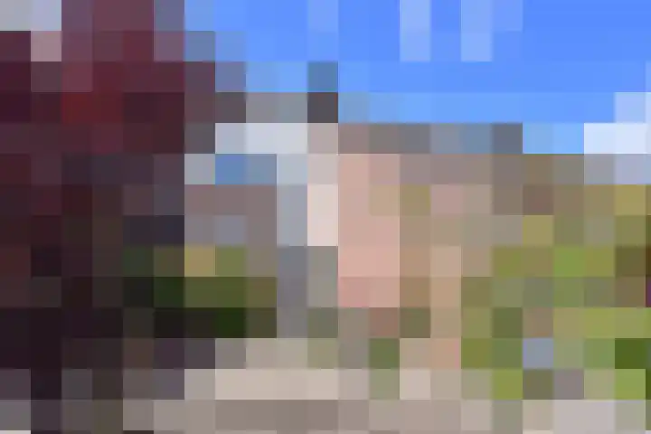 Antilope 37 Huizen thumbnail 21