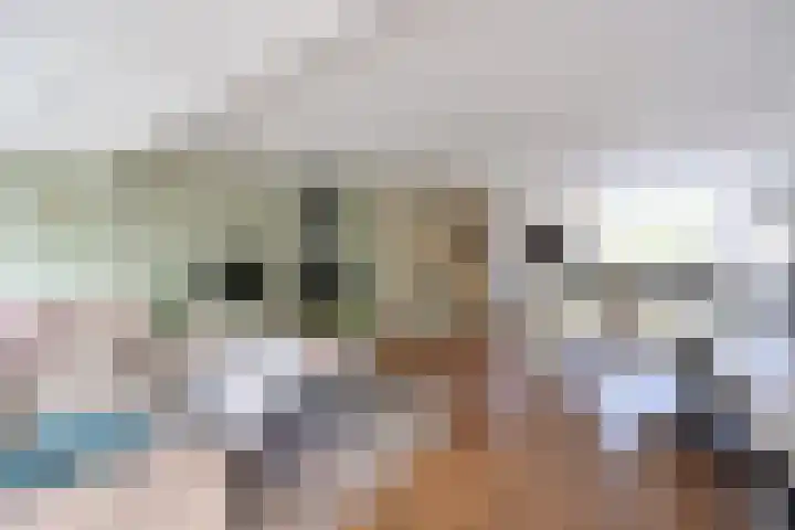 Antilope 37 Huizen thumbnail 4