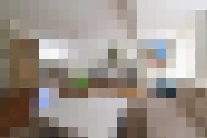 Antilope 37 Huizen thumbnail 7