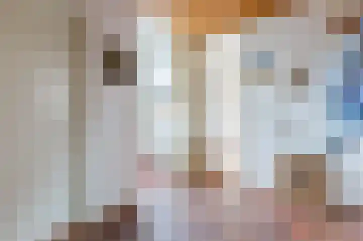 Antilope 4 Huizen thumbnail 19