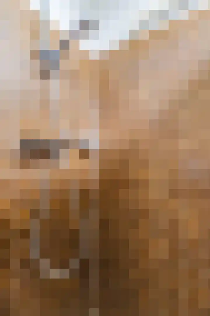 Antilope 4 Huizen thumbnail 28