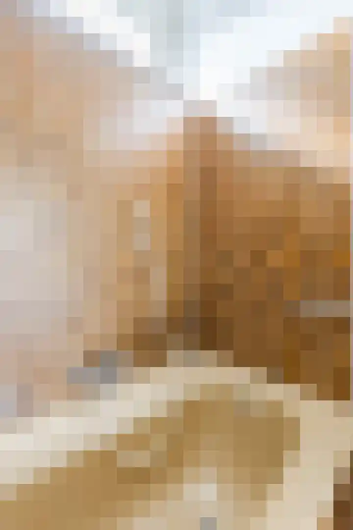Antilope 4 Huizen thumbnail 31