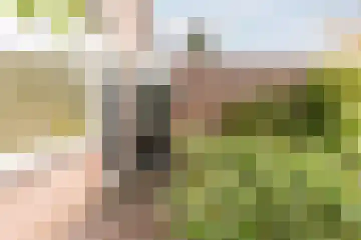 Antilope 4 Huizen thumbnail 35