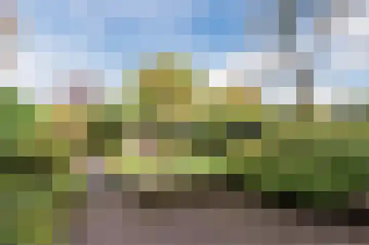 Antilope 4 Huizen thumbnail 39