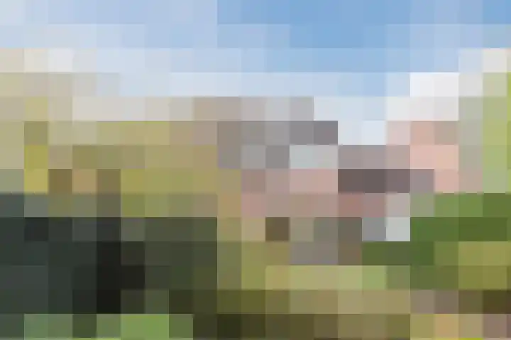 Antilope 4 Huizen thumbnail 42