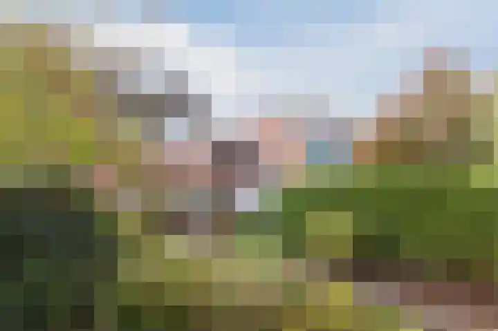 Antilope 4 Huizen thumbnail 43