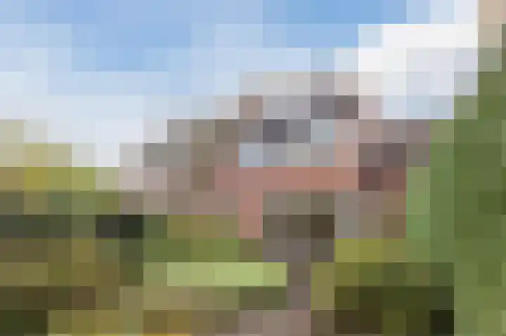 Antilope 4 Huizen thumbnail 44
