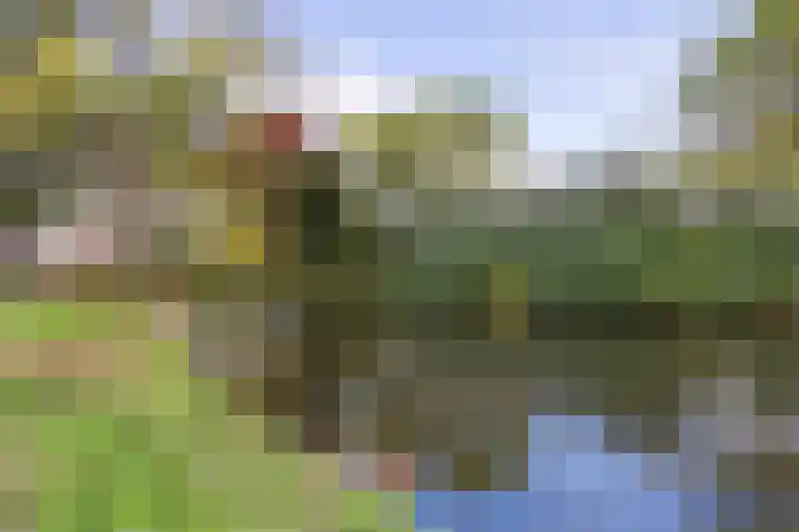 Antilope 4 Huizen thumbnail 45