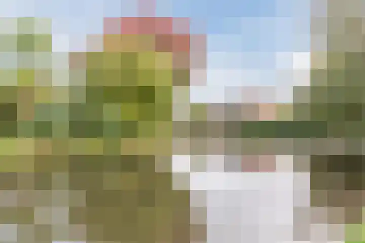 Antilope 4 Huizen thumbnail 46