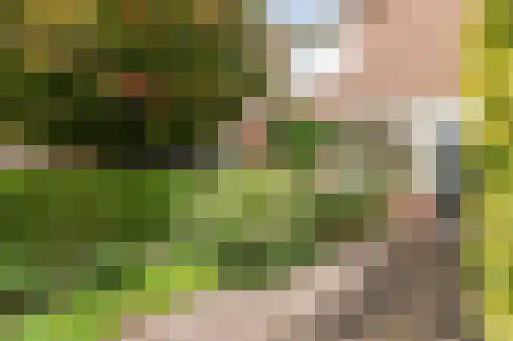 Antilope 4 Huizen thumbnail 47