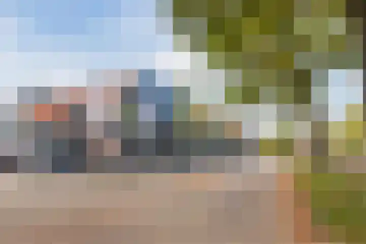Antilope 4 Huizen thumbnail 51