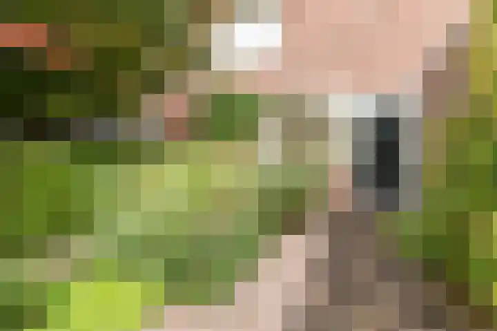 Antilope 4 Huizen thumbnail 7