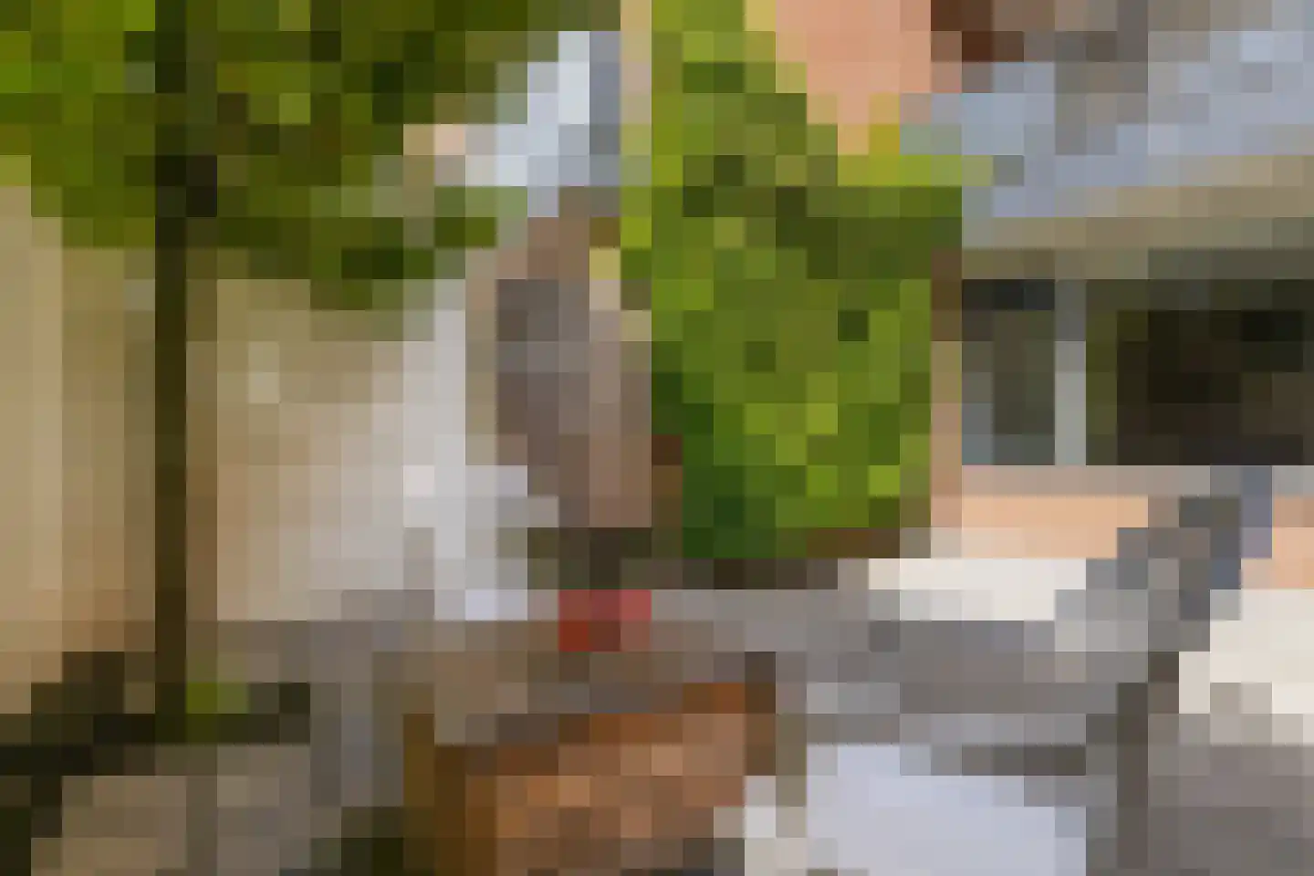 Antilopespoor 135 Maarssen thumbnail 18