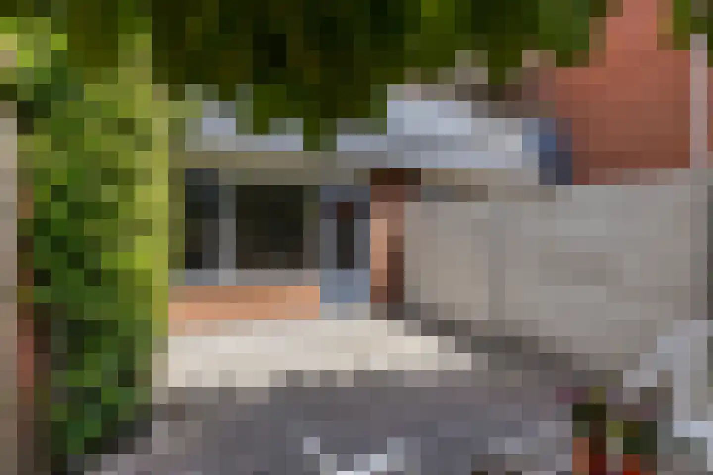 Antilopespoor 135 Maarssen thumbnail 19
