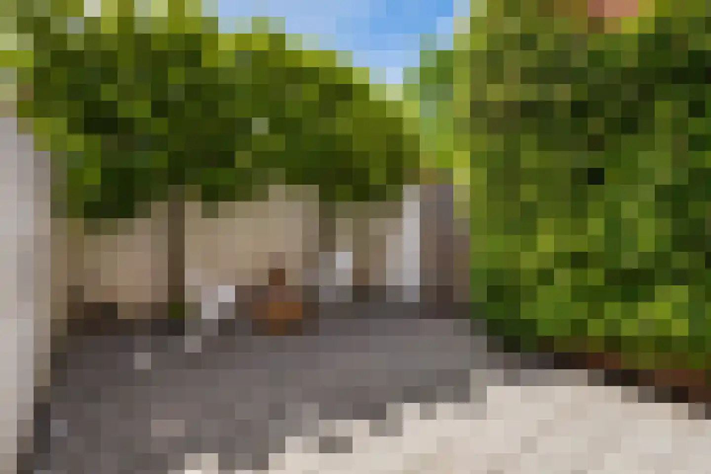 Antilopespoor 135 Maarssen thumbnail 20