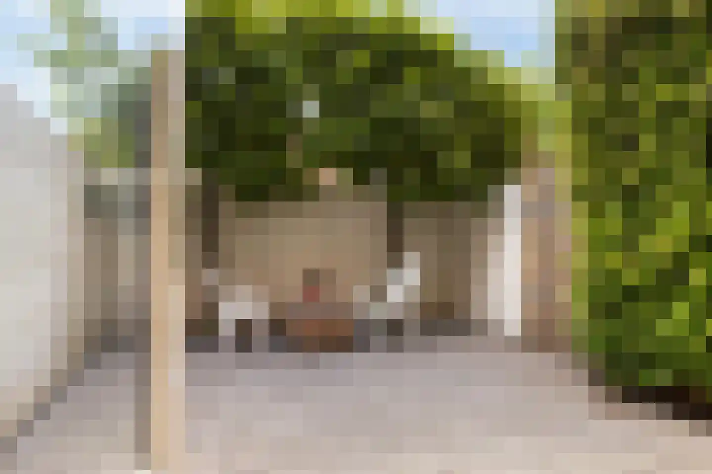 Antilopespoor 135 Maarssen thumbnail 23