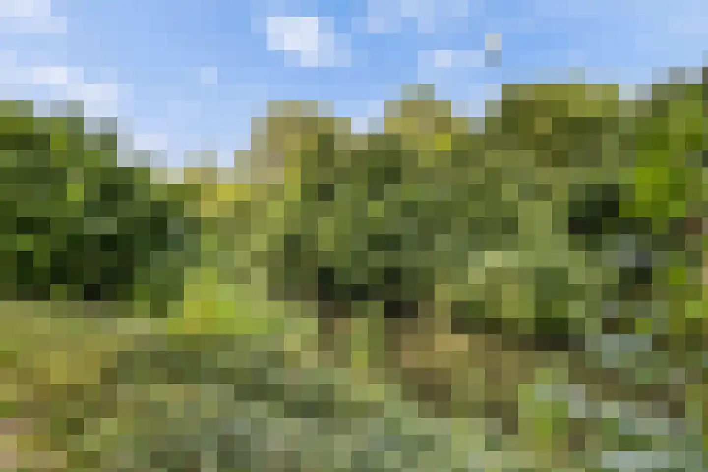 Antilopespoor 135 Maarssen thumbnail 29