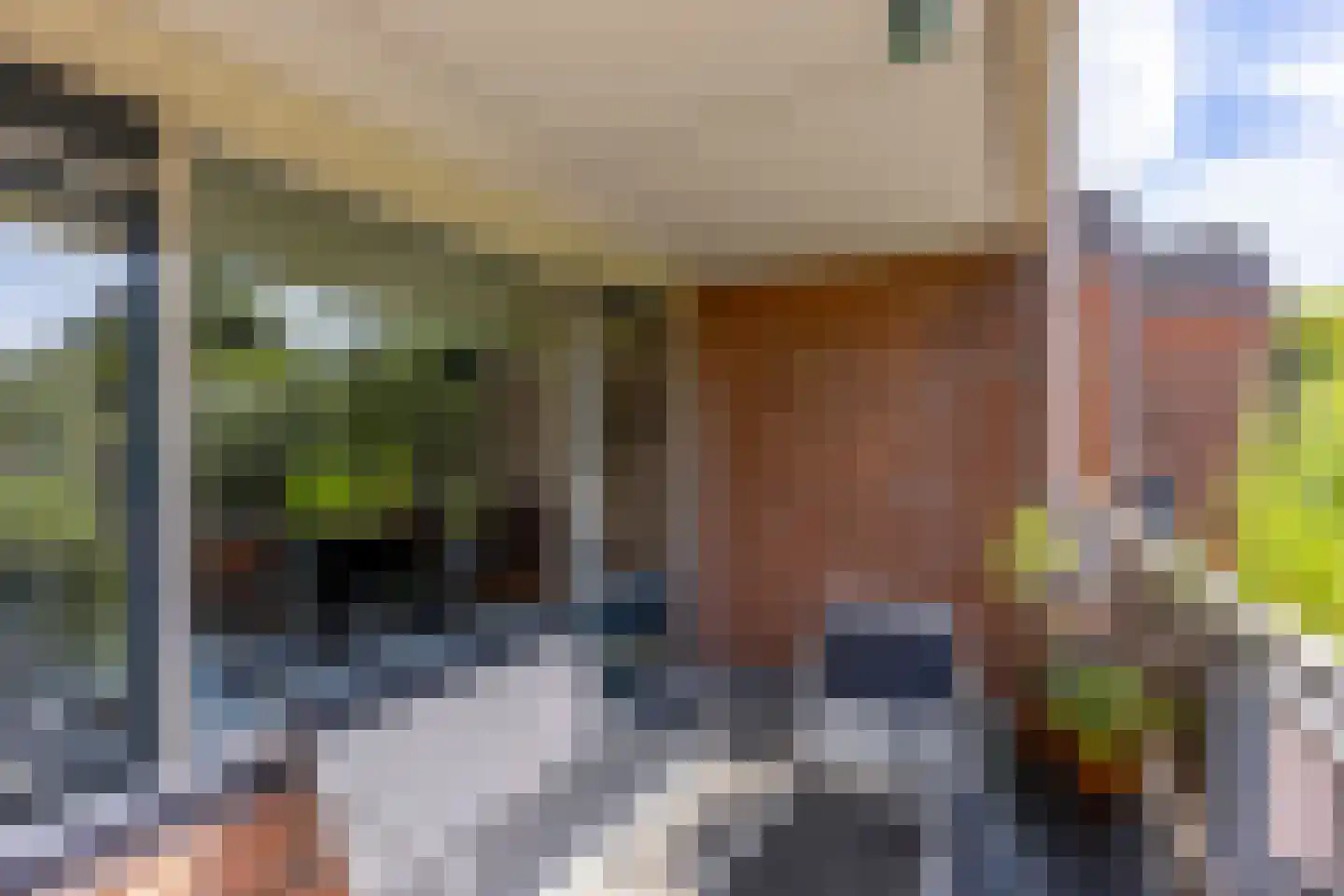 Antilopespoor 153 Maarssen thumbnail 26