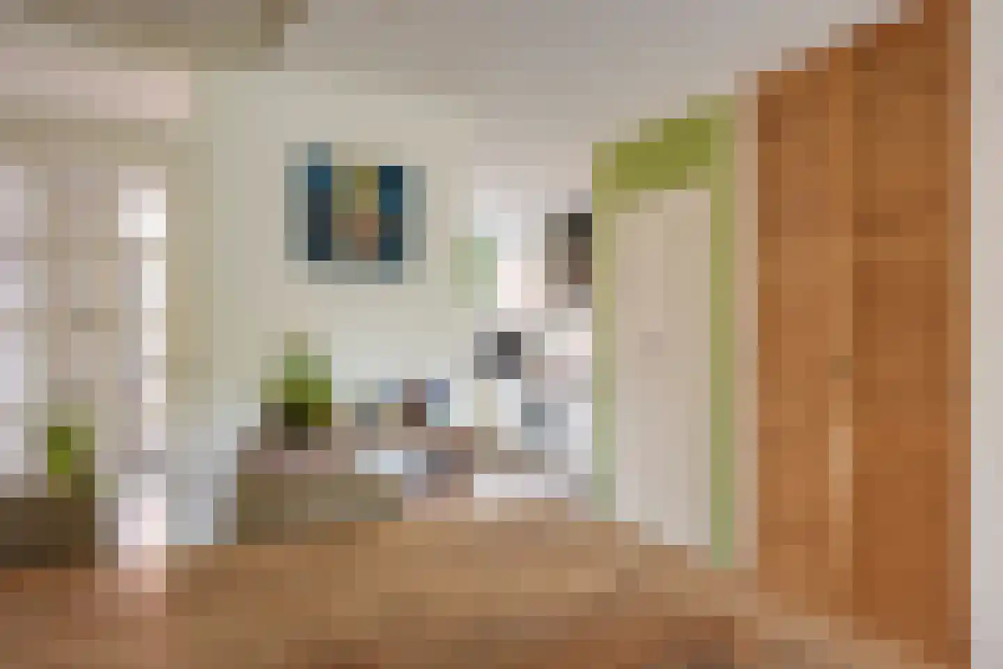 Antilopespoor 153 Maarssen thumbnail 7