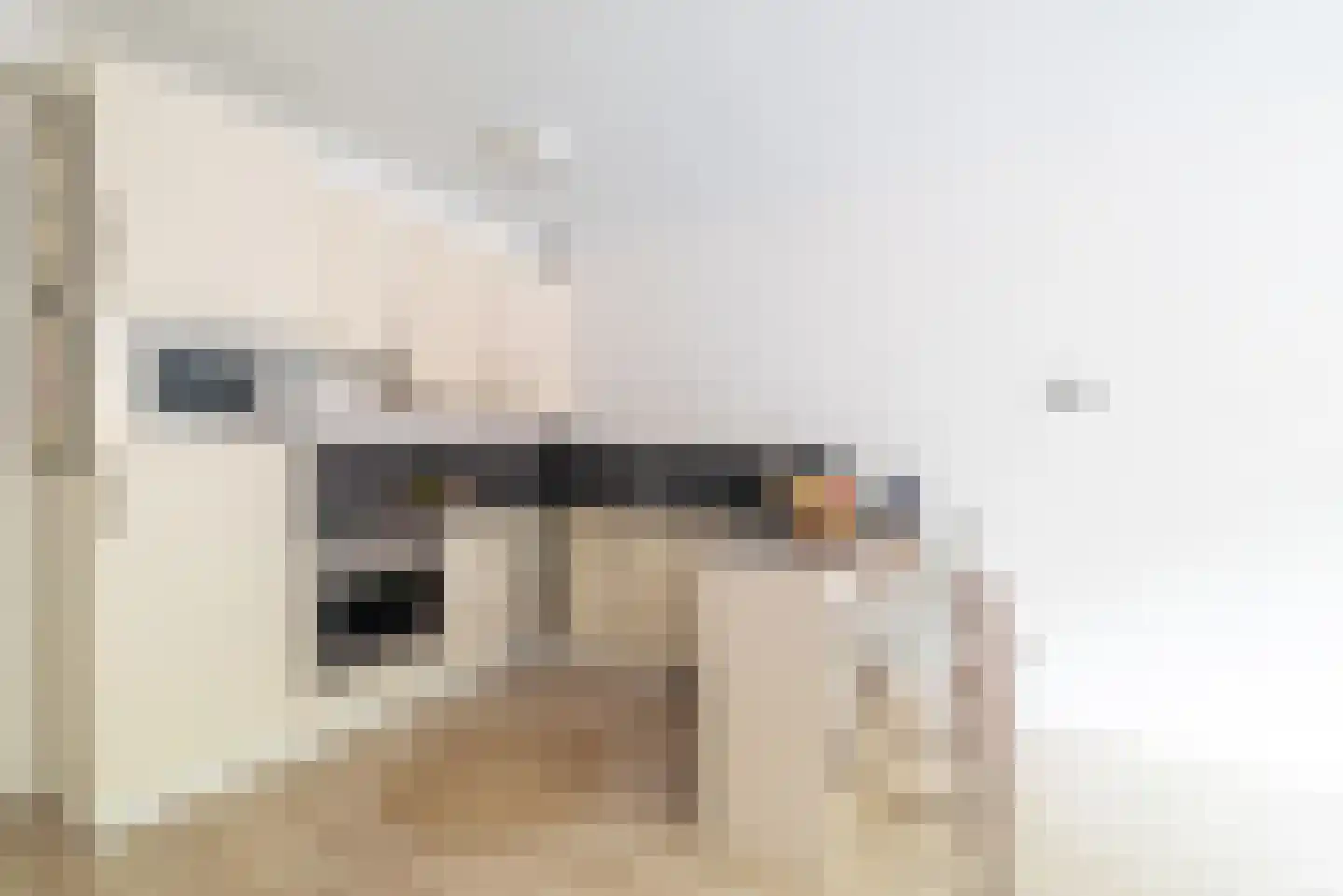 Antilopespoor 157 Maarssen thumbnail 17
