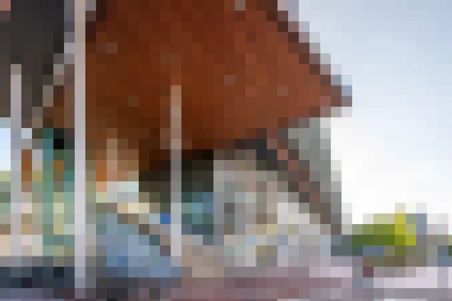 Antilopespoor 157 Maarssen thumbnail 8