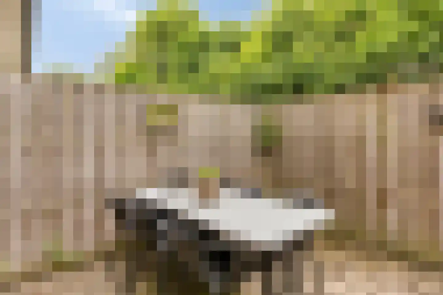 Antilopespoor 163 Maarssen thumbnail 5