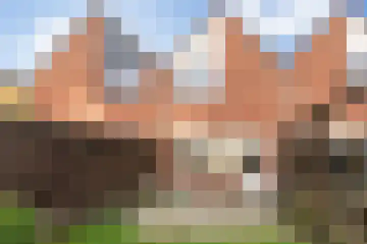 Antilopespoor 184 Maarssen thumbnail 26