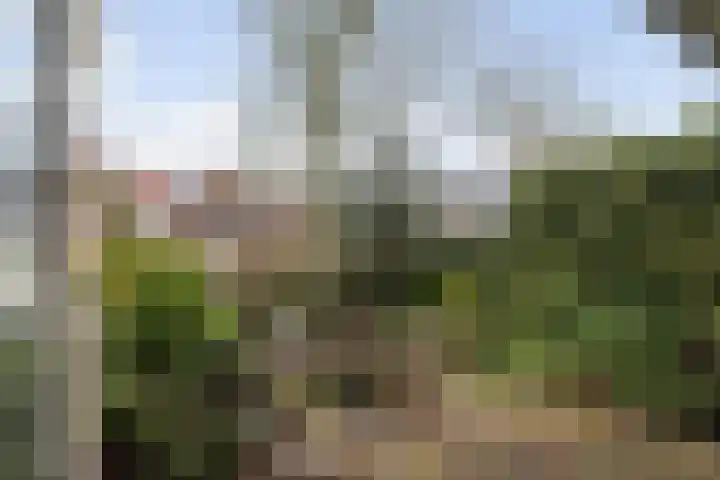 Antilopespoor 186 Maarssen thumbnail 21