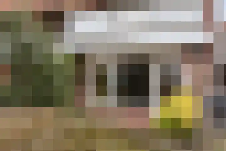 Antilopespoor 186 Maarssen thumbnail 23