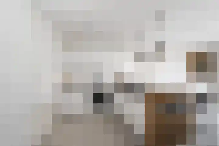 Antilopespoor 186 Maarssen thumbnail 8