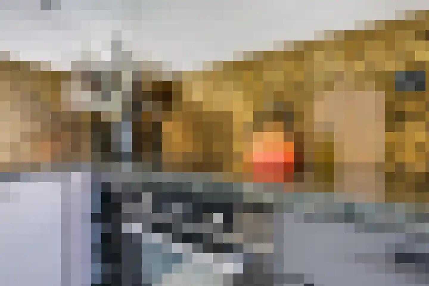 Antilopespoor 207 Maarssen thumbnail 14