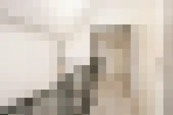 Antilopespoor 214 Maarssen thumbnail 11