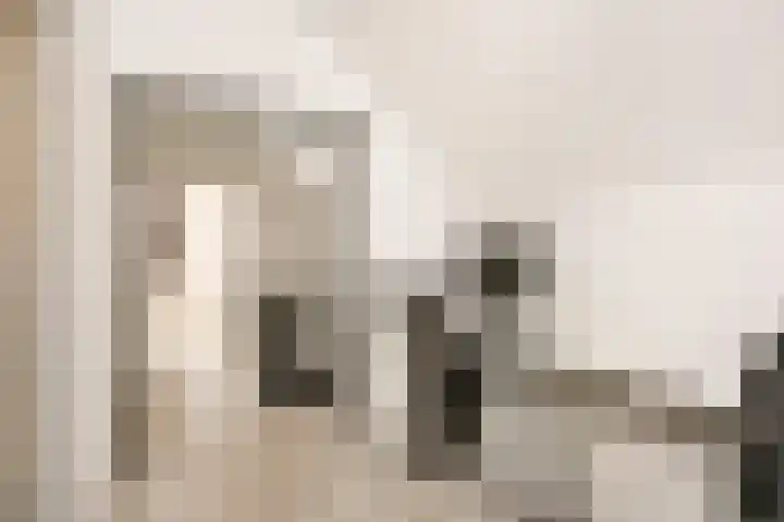 Antilopespoor 214 Maarssen thumbnail 17