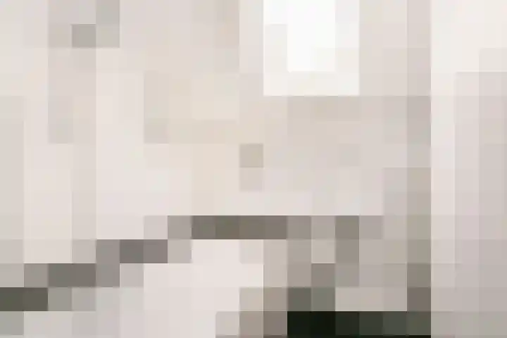 Antilopespoor 214 Maarssen thumbnail 18