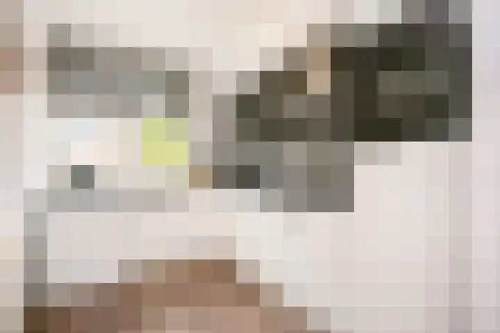 Antilopespoor 214 Maarssen thumbnail 4