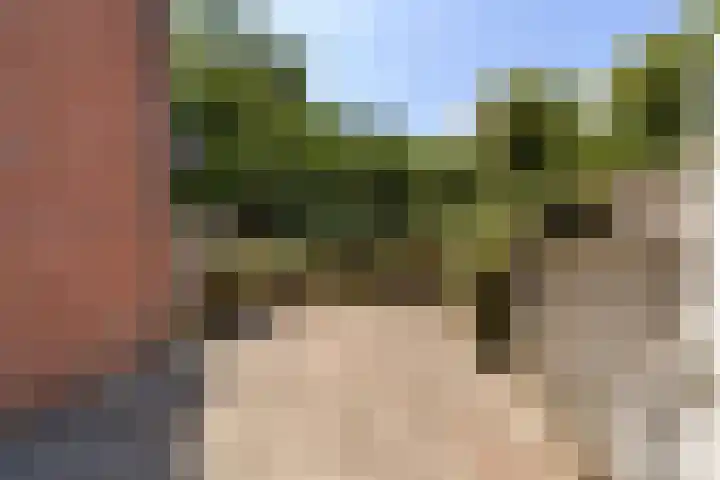 Antilopespoor 217 Maarssen thumbnail 14