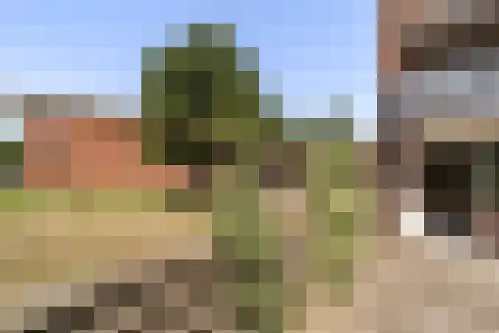 Antilopespoor 217 Maarssen thumbnail 15