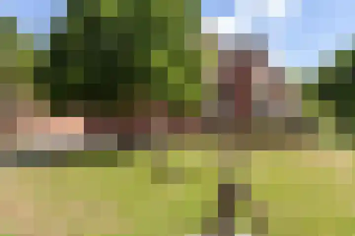 Antilopespoor 217 Maarssen thumbnail 16