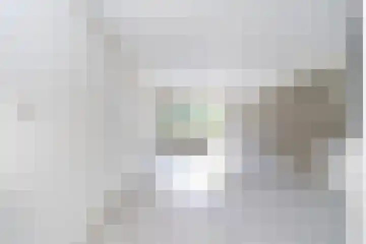 Antilopespoor 217 Maarssen thumbnail 6