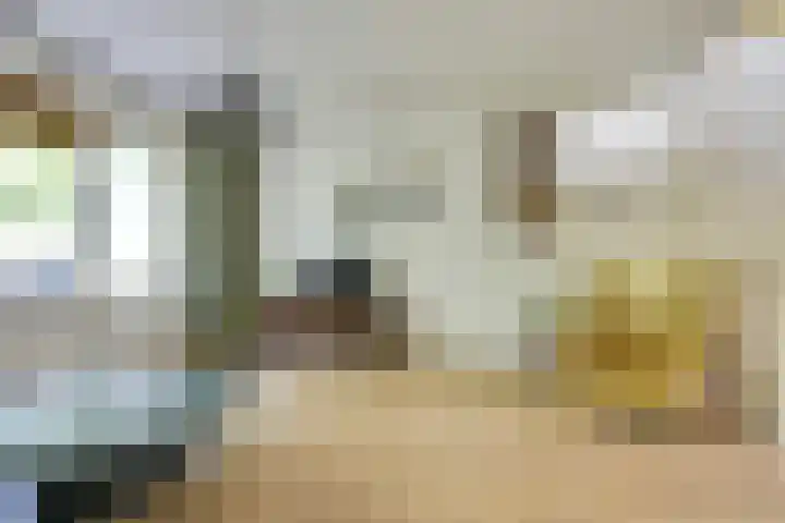 Antilopespoor 229 Maarssen thumbnail 11